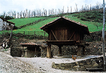 eimagen