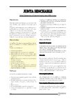 Ebook JUNTA HINCHABLE