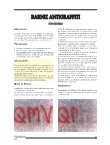 Ebook ANTIGRAFFITI
