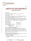 Ebook ADINGUM TIXO