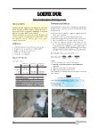 Ebook LOKFIX DUR