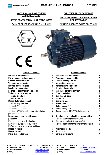 Ebook Motores ATEX