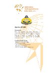 Ebook Autonivelante HV201 (con detector)